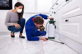 Best Real Estate Pest Inspections  in Cockrell Hill, TX